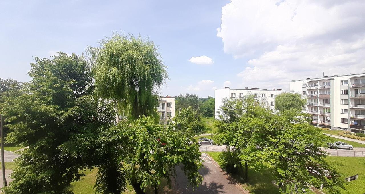 Bursztynowy Apartament Тарновске-Гуры Экстерьер фото