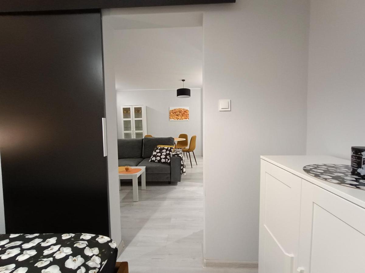 Bursztynowy Apartament Тарновске-Гуры Экстерьер фото