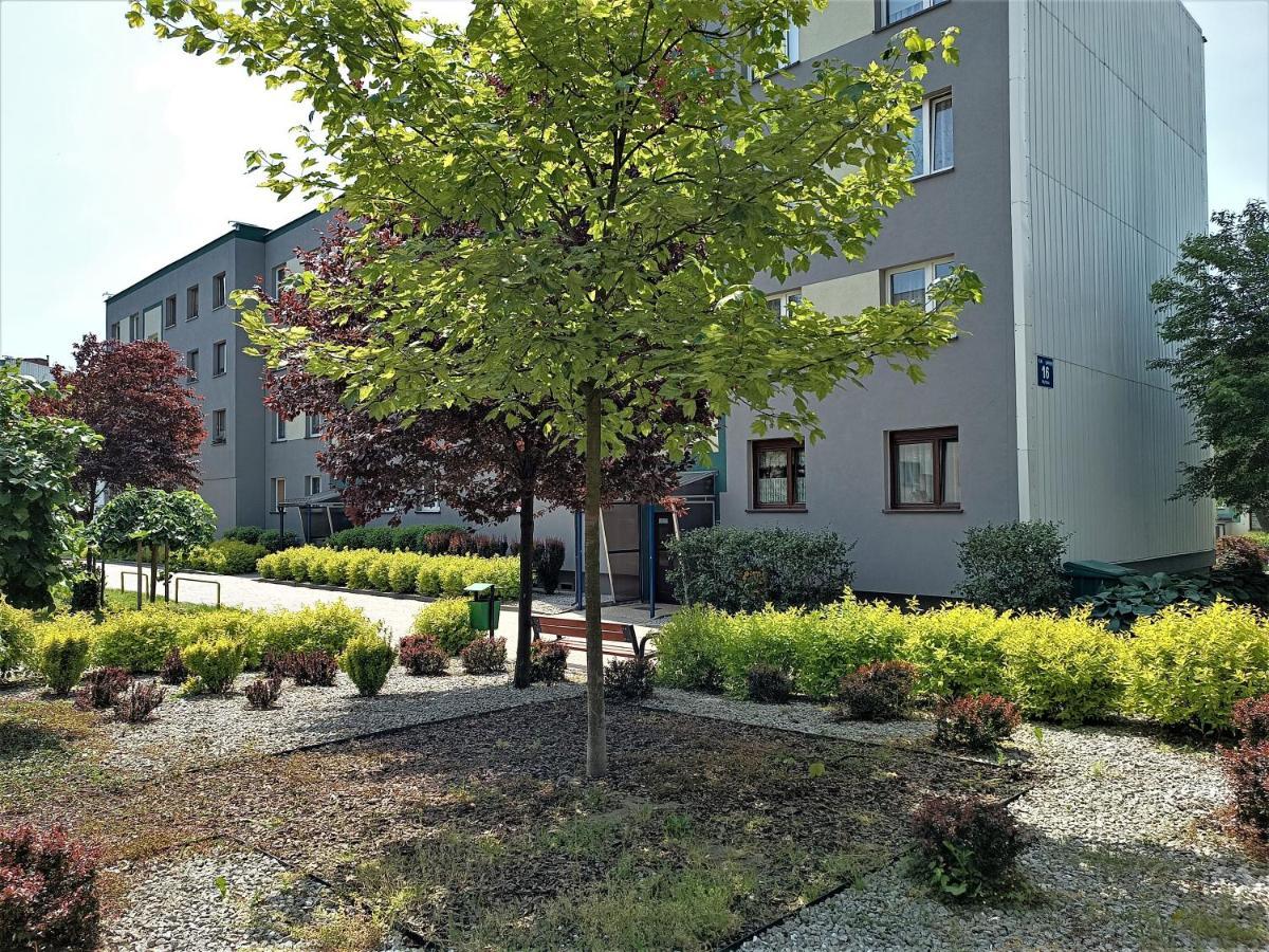 Bursztynowy Apartament Тарновске-Гуры Экстерьер фото